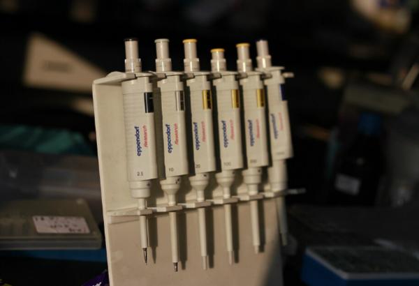 微量分注器 PIPETTEMAN