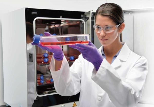 二氧化碳培養箱